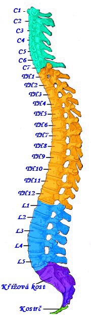 kajdik-pater.jpg